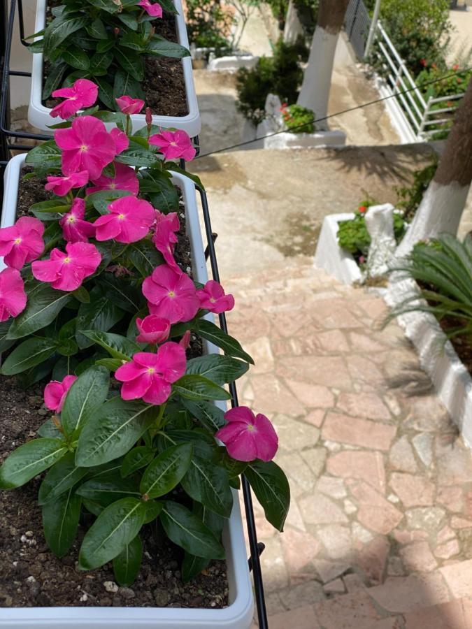 Apartamente Berti'S Garden Saranda Zewnętrze zdjęcie
