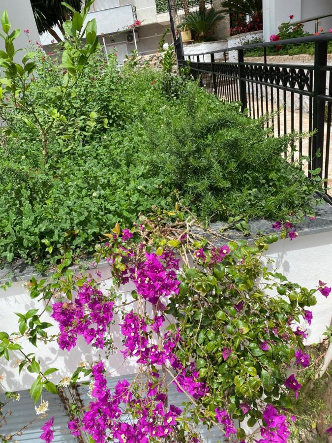 Apartamente Berti'S Garden Saranda Zewnętrze zdjęcie