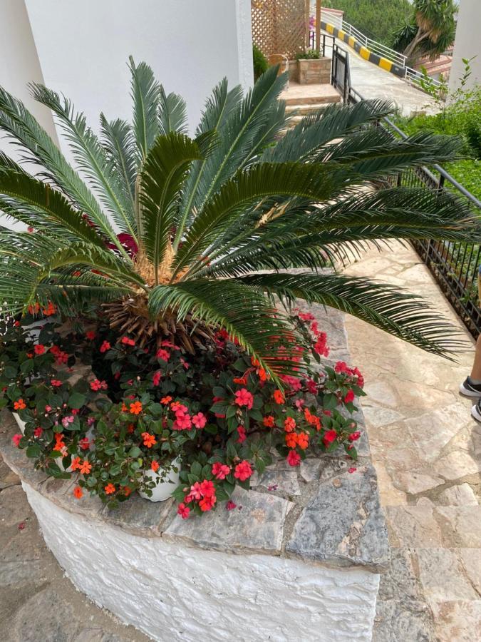 Apartamente Berti'S Garden Saranda Zewnętrze zdjęcie